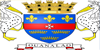 Flag of Saint Barthelemy